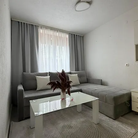 公寓 Elma Sarajevo1 Free Parking