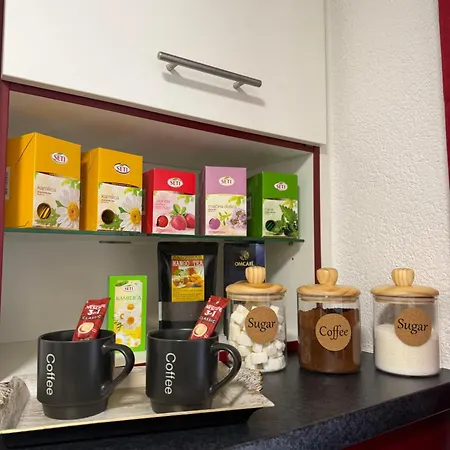 公寓 Elma Sarajevo1 Free Parking *