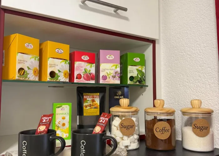 公寓 Elma Sarajevo1 Free Parking *